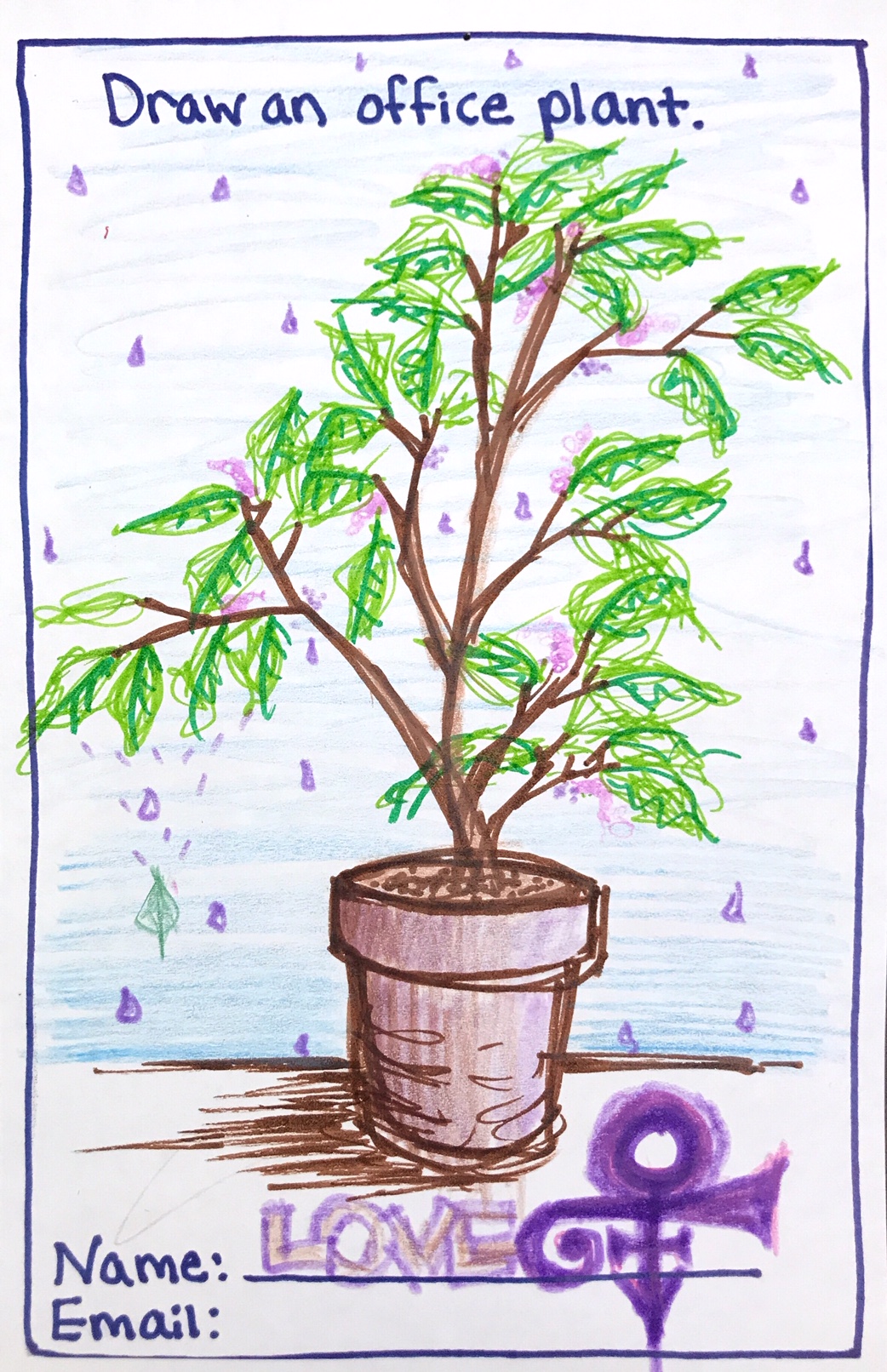 Office plant with purple rain, Municipal Restored, 2018