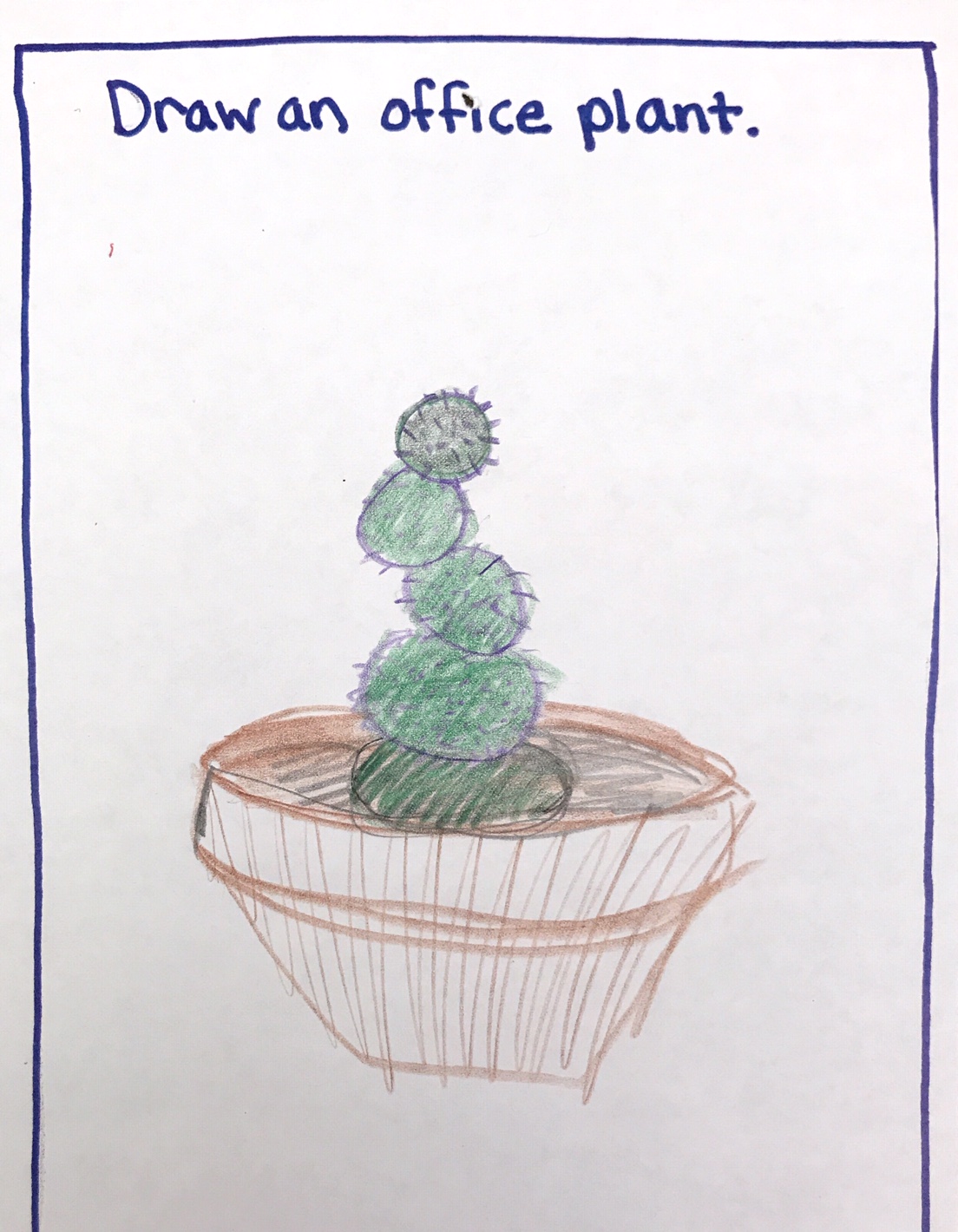 Cactus in brown pot, Municipal Restored, 2018