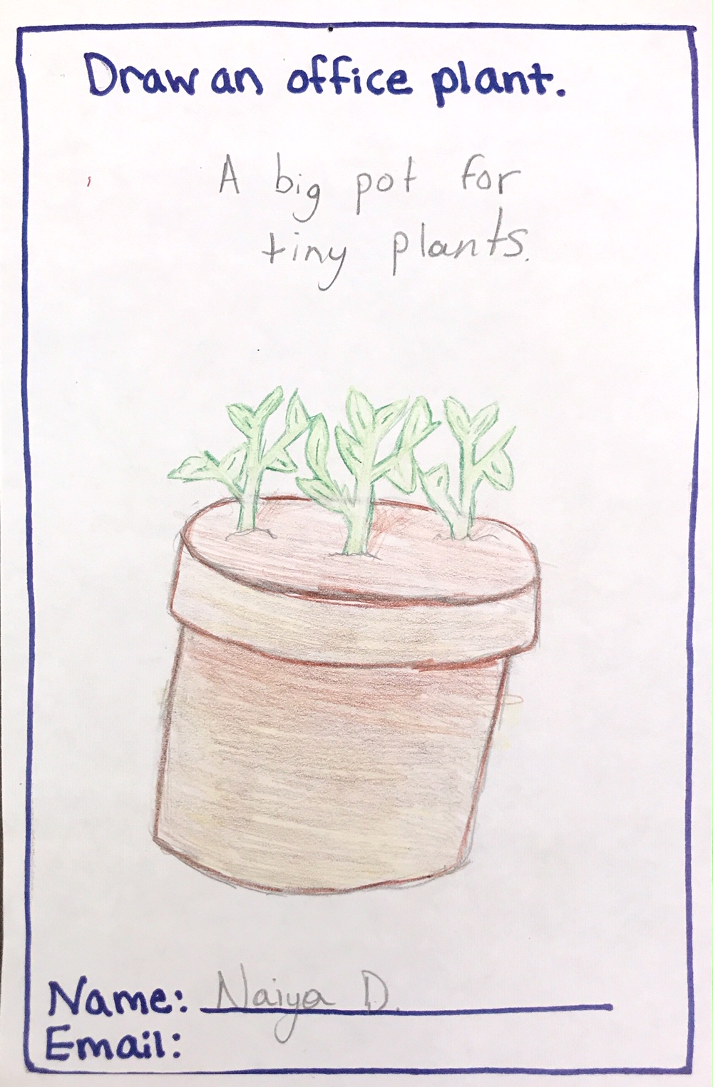 A big pot for tiny plants, Municipal Restored, 2018