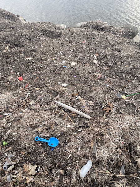 Garbage on lakeshore, Madison, 2020