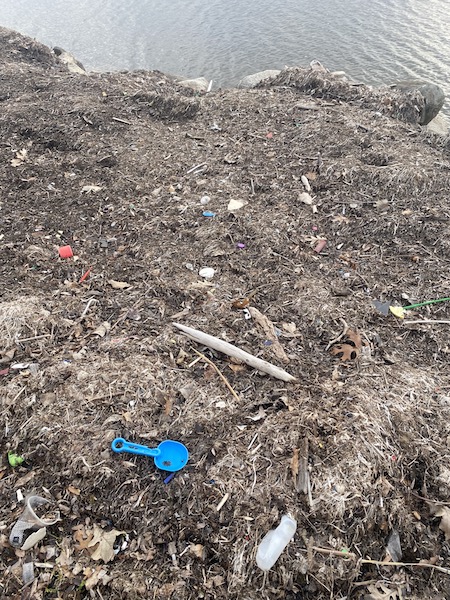 Garbage on lakeshore, Madison, 2020 Garbage on lakeshore, Madison, 2020