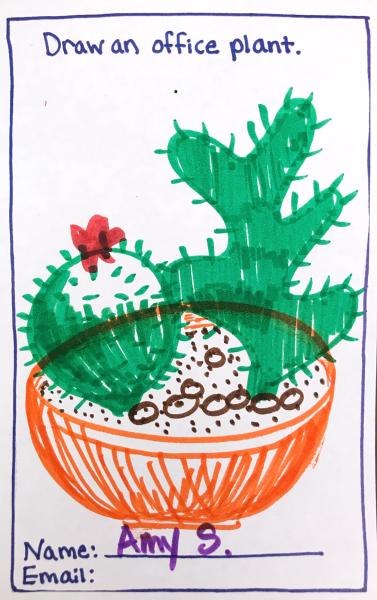 Cactus in orange bowl, Municipal Restored, 2018