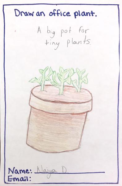 A big pot for tiny plants, Municipal Restored, 2018